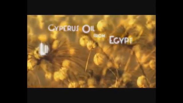 Orofluido Beauty Elixir Argan Oil Test SChweiz смотреть онлайн