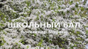 Школьный бал. А. Мураев. Муз. С. Дьячков, Ст. П.Леонидов, Аранж. ВИА"Самоцветы" Премьера клипа, 2023