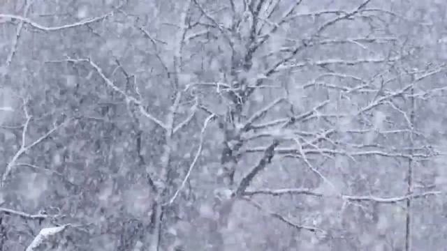 Зимняя стужа | медитация | Relax.