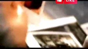 Кыргызча кызыл раушан