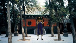 Шаолиньский цигун - Дамо Ицзиньцзин