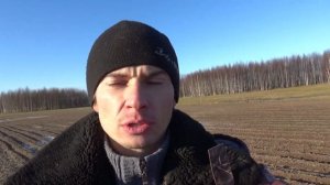 Мой опыт реализации и выращивания чеснока.