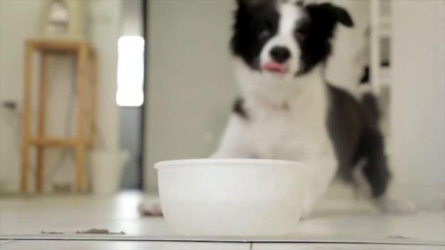 Дольше жуёшь, дольше живёшь смотреть онлайн