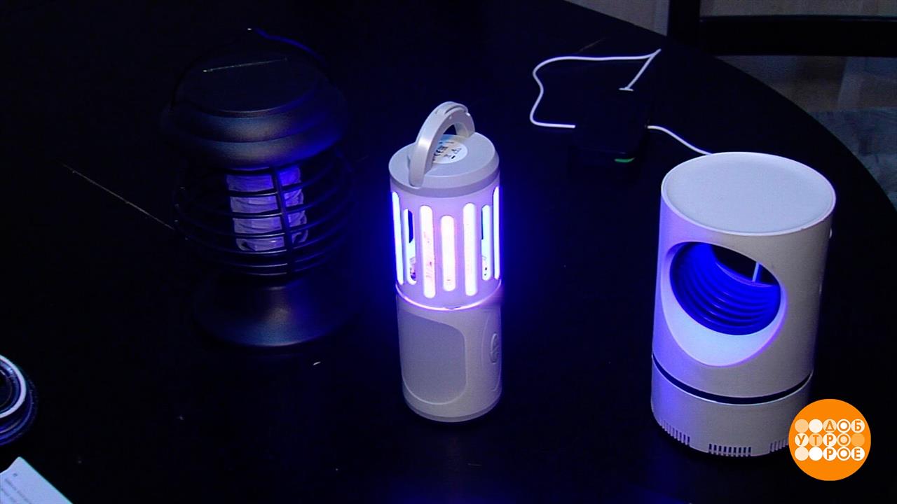 Антимоскитные лампы: при чем тут ультрафиолет? Доброе утро. Фрагмент выпуска от 17.08.2023