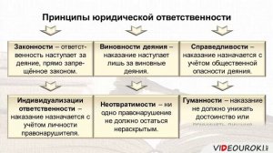 15. Юридическая ответственность