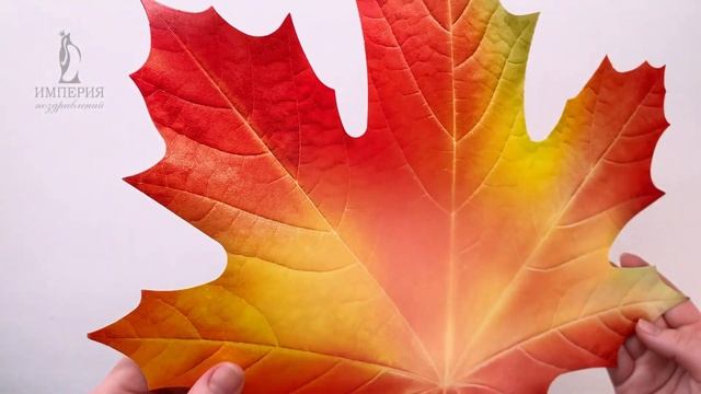 Плакат "Кленовый лист" смотреть онлайн