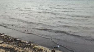 Почему в Сингапуре нельзя купаться в море? Показываем насколько чистая вода на тропическом острове!