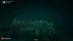 Кактус пейот 26 — GTA 5