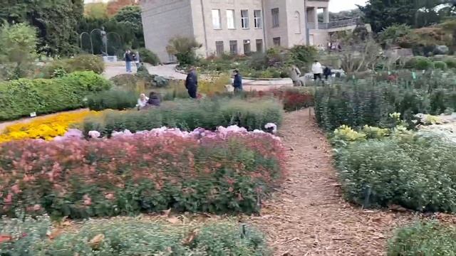 Никитский Ботанический сад октябрь 2021. Бал Хризантем. Ялта, Крым . Vlog смотреть онлайн