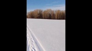 мороз и солнце день чудесный