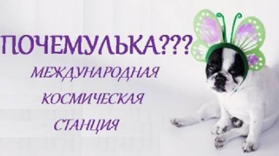 ПОЧЕМУЛЬКА. КОСМОС. МКС. СТИХИ ДЛЯ МАЛЫШЕЙ. ПОТЕШКИ. Короткие стишки для са