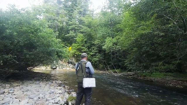 Хариус и ленок в начале августа 2021. Безводье и жара продолжаются. Жарёха, обдир и уха! смотреть онлайн