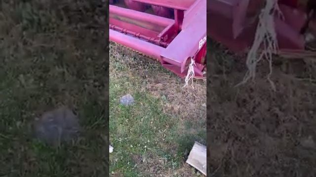 Косилка плющилка прицепная КПП-4,2 экспресс-обзор от Ивана Чуркина смотреть онлайн