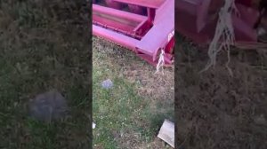 Косилка плющилка прицепная КПП-4,2 экспресс-обзор от Ивана Чуркина