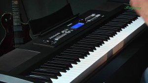 Обзор цифровых пианино Ringway RP-35: идеальное сочетание цены и качества