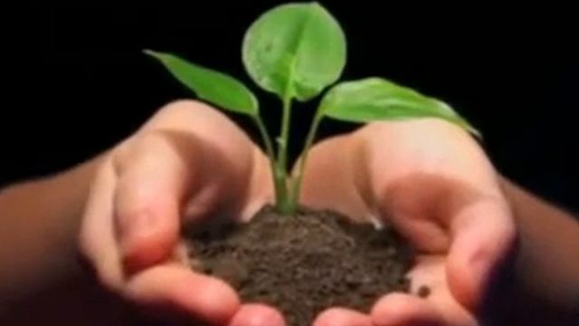 Я получила все , что мне было нужно!Благодарю Бога! смотреть онлайн