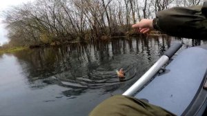 Попал на осенний жор щуки.Обновил рекорд.Рыбалка на реке Байгора