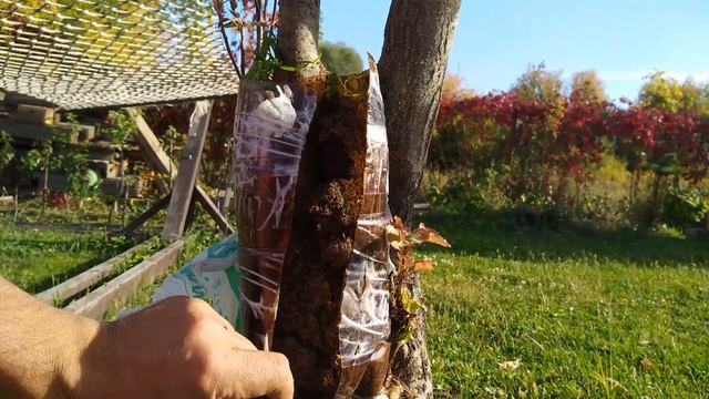 Воздушный отводок 2020 1 смотреть онлайн