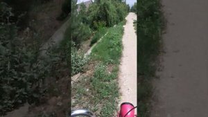 На электрифицированном мопеде РИГА по пересеченной местности