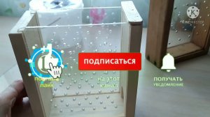 Контейнер для пчел - апитерапии. Апиконтейнер (Bee.)