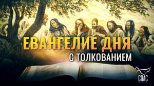 «У ВАС ЖЕ И ВОЛОСЫ НА ГОЛОВЕ ВСЕ СОЧТЕНЫ» / ЕВАНГЕЛИЕ ДНЯ