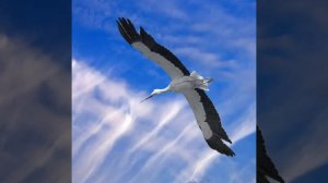 Александр  Марцинкевич, *Цепи *remix