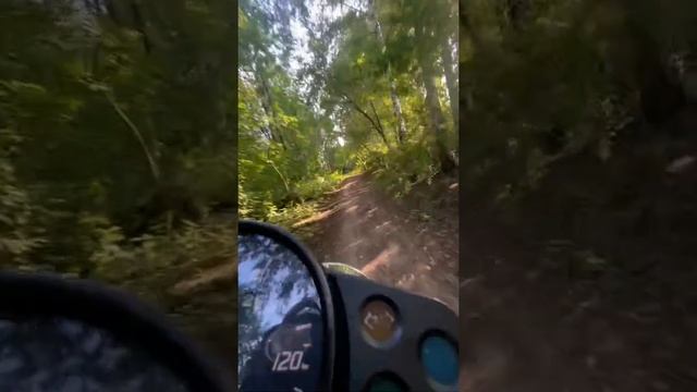 Honda FTR 223. Пермь. Переход Крохоля-Плоский-Индустриальный. смотреть онлайн