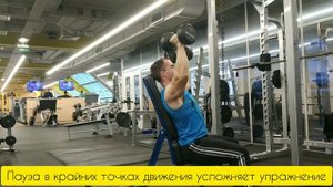 Жим гантелей на плечи сидя