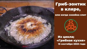 Гриб -зонтик в кляре, или когда хозяйка спит. Из цикла "Грибная кухня"