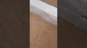 засыпаем внутрь фундамента пгс для полов по грунту