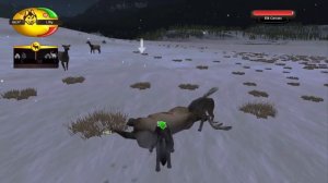 WolfQuest, But Better|Part 1: BULL ELK AND MEET THE SASS QUEEN!