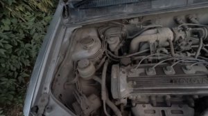 Замена масла в двигателе 5efe. Toyota Raum.