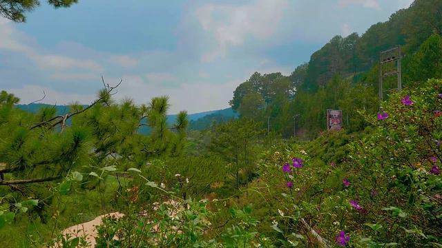 Rain music - Father Forgive Them - Your body relaxed into the chair смотреть онлайн