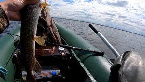 Рыбалка на спиннинг 10.05.2022. Шапсугское водохранилище. Больше 20 щук за пол дня...