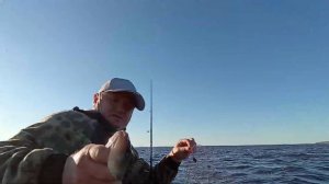 Рыбалка открытие Горьковское водохранилище окунь, судак, щука. 2022