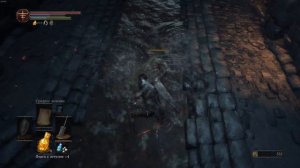 Dark Souls 3 - оскверненный уголь