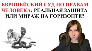 ЕВРОПЕЙСКИЙ СУД ПО ПРАВАМ ЧЕЛОВЕКА - ЕСПЧ - опыт обращения и мнение адвоката
