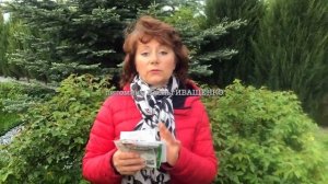 ОБРАБОТКА РОЗ от БОЛЕЗНЕЙ и ВРЕДИТЕЛЕЙ в ИЮНЕ / Елена Иващенко
