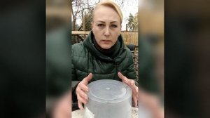 Хризантема мультифлора. Как подготовить к зиме.