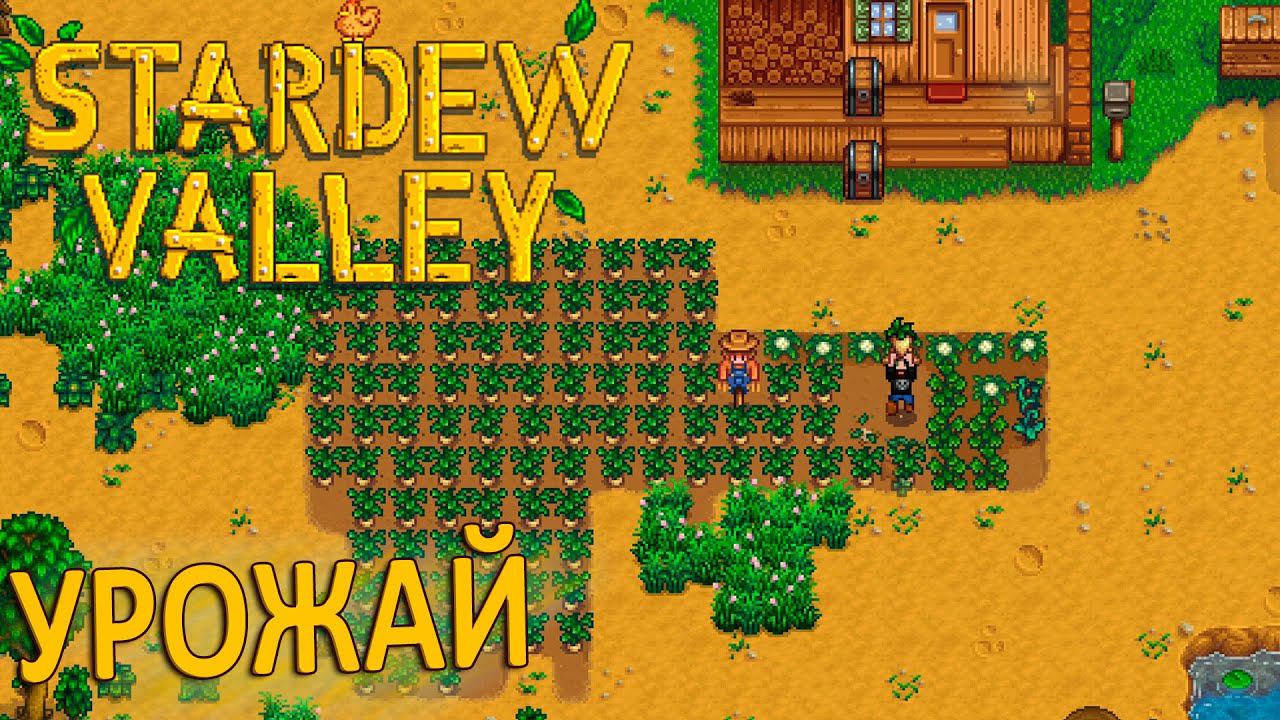 Дом пьера stardew valley. Ежевичная корзинка в stardew valley. Stardew valley движок. Абигейл stardew valley. Stardew valley первое знакомство.
