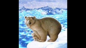 медвежонок