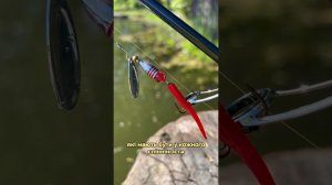 Оберталки Cormoran Spinner Bullet  #bereg #beregfishing #daiwa  #fishing