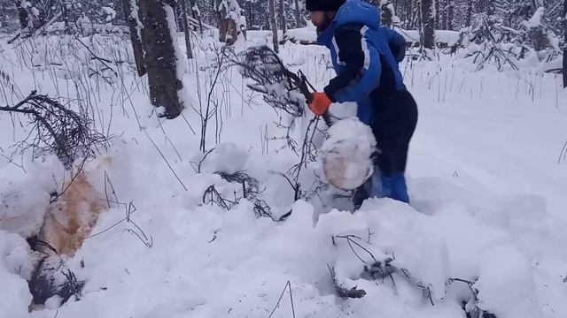 Первый выезд. Прокладываем новую дорогу