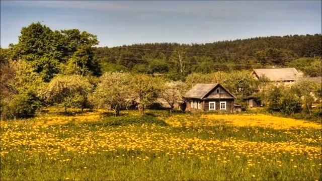 Загадки о домашних животных смотреть онлайн