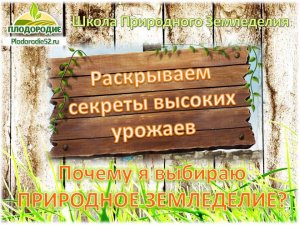 Почему я выбираю Природное Земледелие?