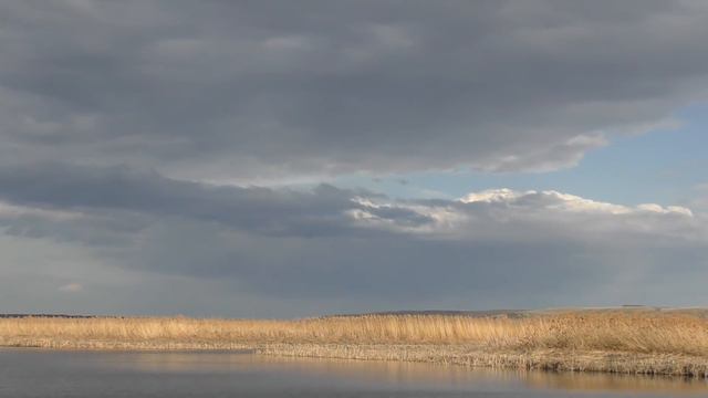 Пришла МЕСТНАЯ и ОБЛОВИЛА МЕНЯ!!! Весенняя РЫБАЛКА на ПОПЛАВОК.