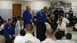 Реальное айкидо | Любомир Врачаревич | День первый