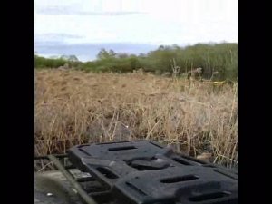 квадроциклы "Сокол" прогулка по воде 14 05 2016