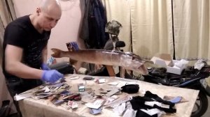 Курсы таксидермии. Изготовление чучела щуки.(Часть 3)