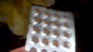 Про слабительное средство,которое я купил для проведения эксперимента.Повторять это не желательно